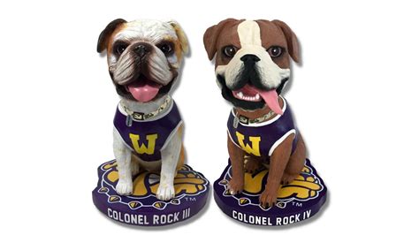 WIU Mascot: Motivating Fans to Cheer for Victory